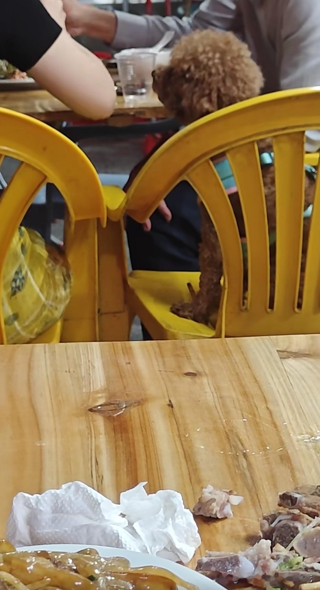 狗上桌不可怕，可怕的是店没有名，这家烧烤店生意火爆，属于流动摊的那种，回头客比较