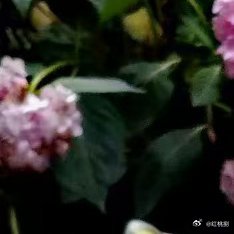 凡事别急，上天自有安排。人生就是这样，不是得到，而是学到阳光信用[超话] ​​​