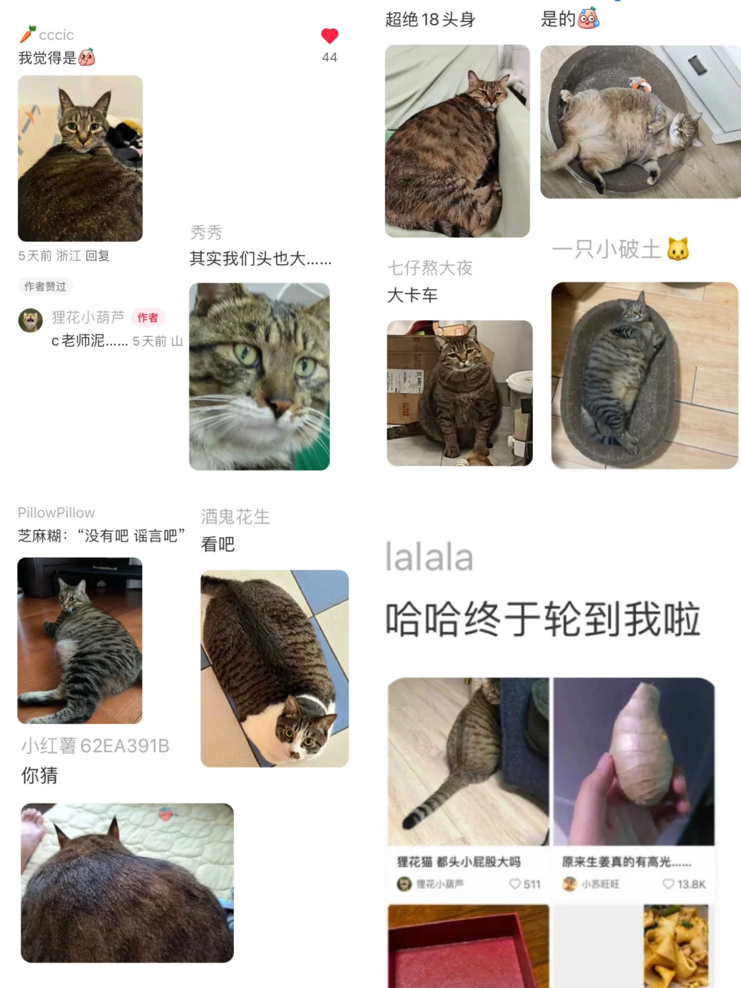 没夸张 1夜之间我的评论区停了1000辆半挂