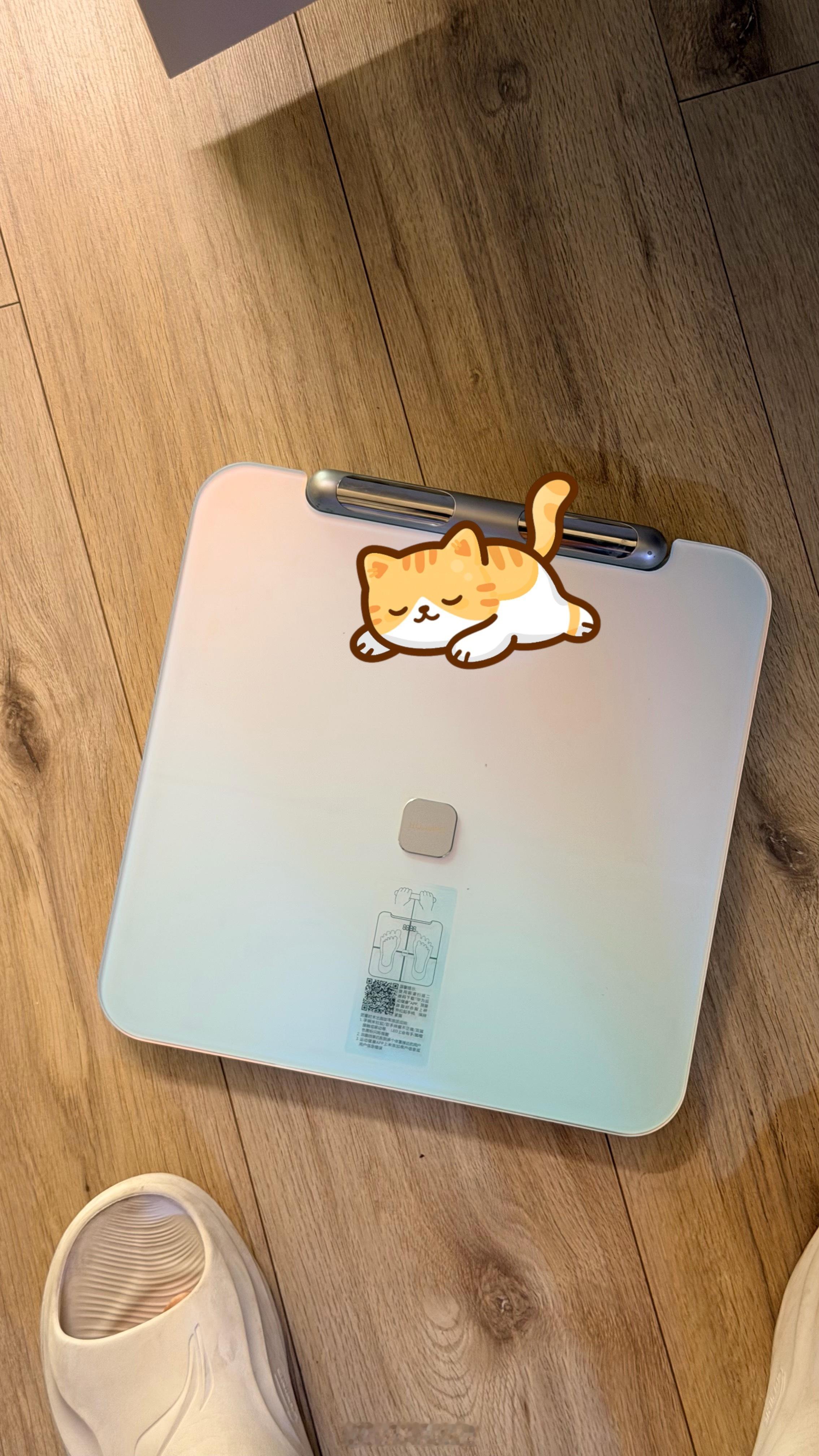 减肥的路上总是磕磕绊绊…… 