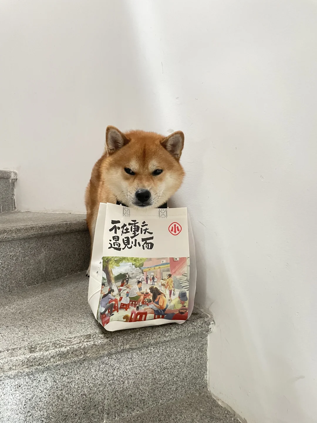 长这么大帮我拿一下外卖怎么啦？