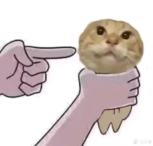 年营收1亿女生说妈妈一直劝她考公年营收1亿是吧？把个人所得税亮出来，包括自己企业