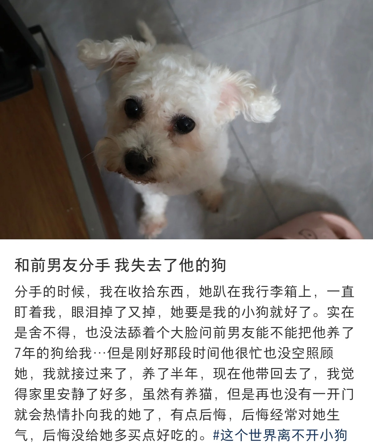 所以不建议情侣一起养宠物，分手了以后见不到宠物了，老难受了 ​​​
