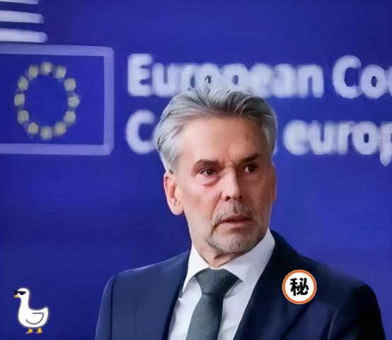 快讯！快讯！
荷兰政府宣布了
 
“维护盟友安全”—— 荷兰首相吕特这话一出口，