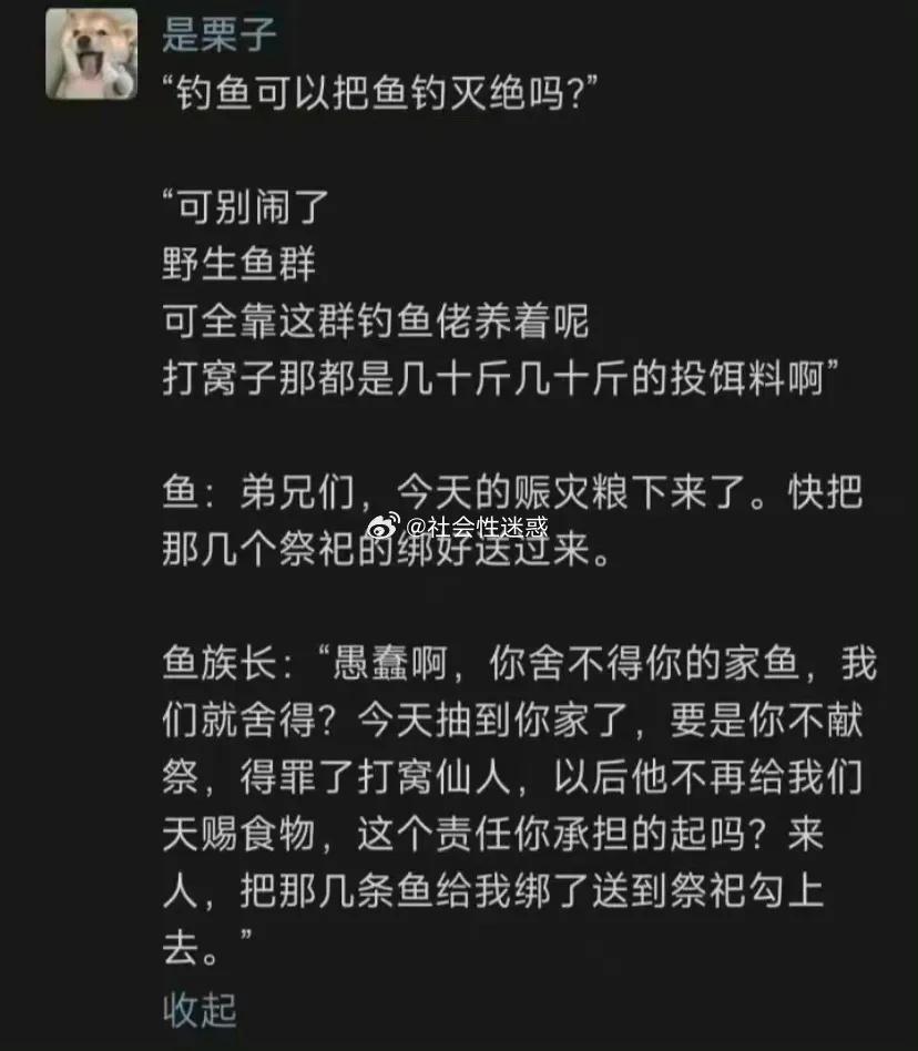 原来一直以来都误会钓鱼佬了 

喵喵教某种神秘的仪式 ，猫猫怎么能猥琐呢[捂脸]