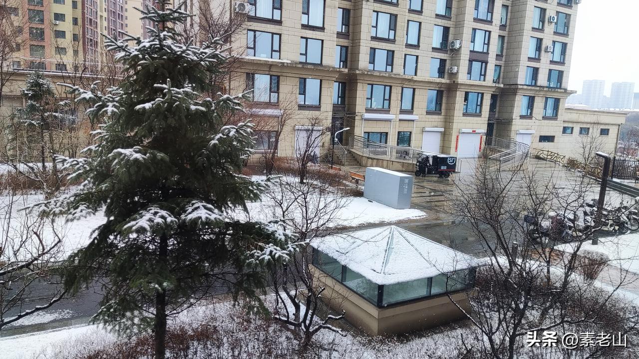 唐朝大诗人杜牧有云：“清明时节雨纷纷，路上行人欲断魂。”可今年东北的天气偏要反其