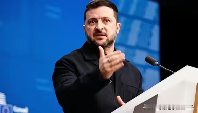 死鸡总统看来是被俄罗斯的臻树导弹炸痛了，呼吁国际社会应该做出反映，特别是美国。问