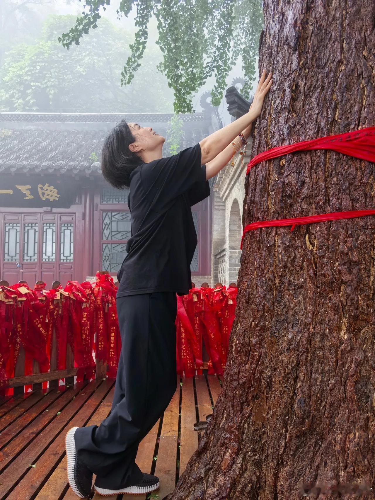 《久别的人》白雪，现身丹东大孤山祈福，拥抱传说中一千三百多岁的神树爷爷和 800