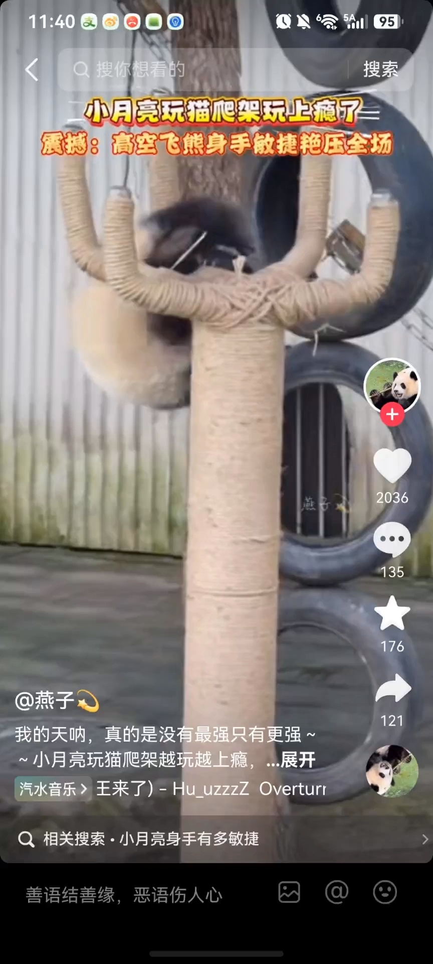 小月亮的故事，我觉得很代表小朋友的调皮性，顽固，她是一个很聪明的，很有学习力，那