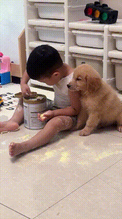 家里安静得可怕，不用猜，绝对在偷偷干大事😂
 
带娃的都懂一个真理：客厅长时间