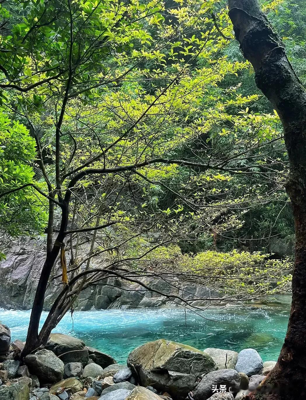 风景这边更好