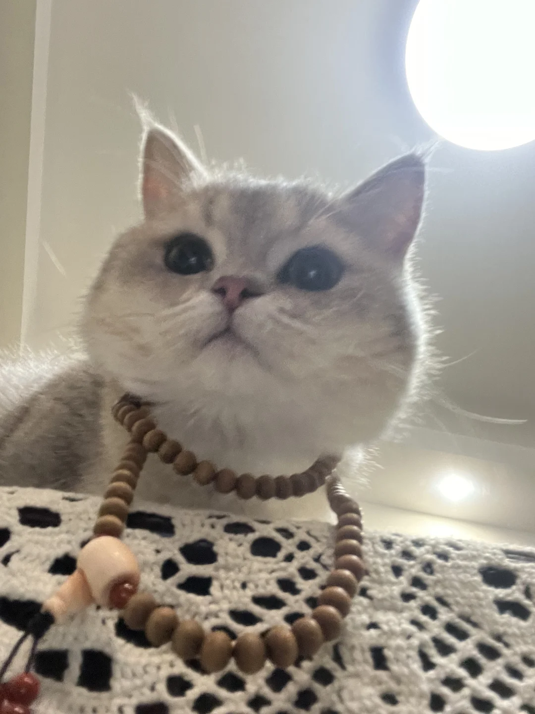 施主 最近有什么开心事吗