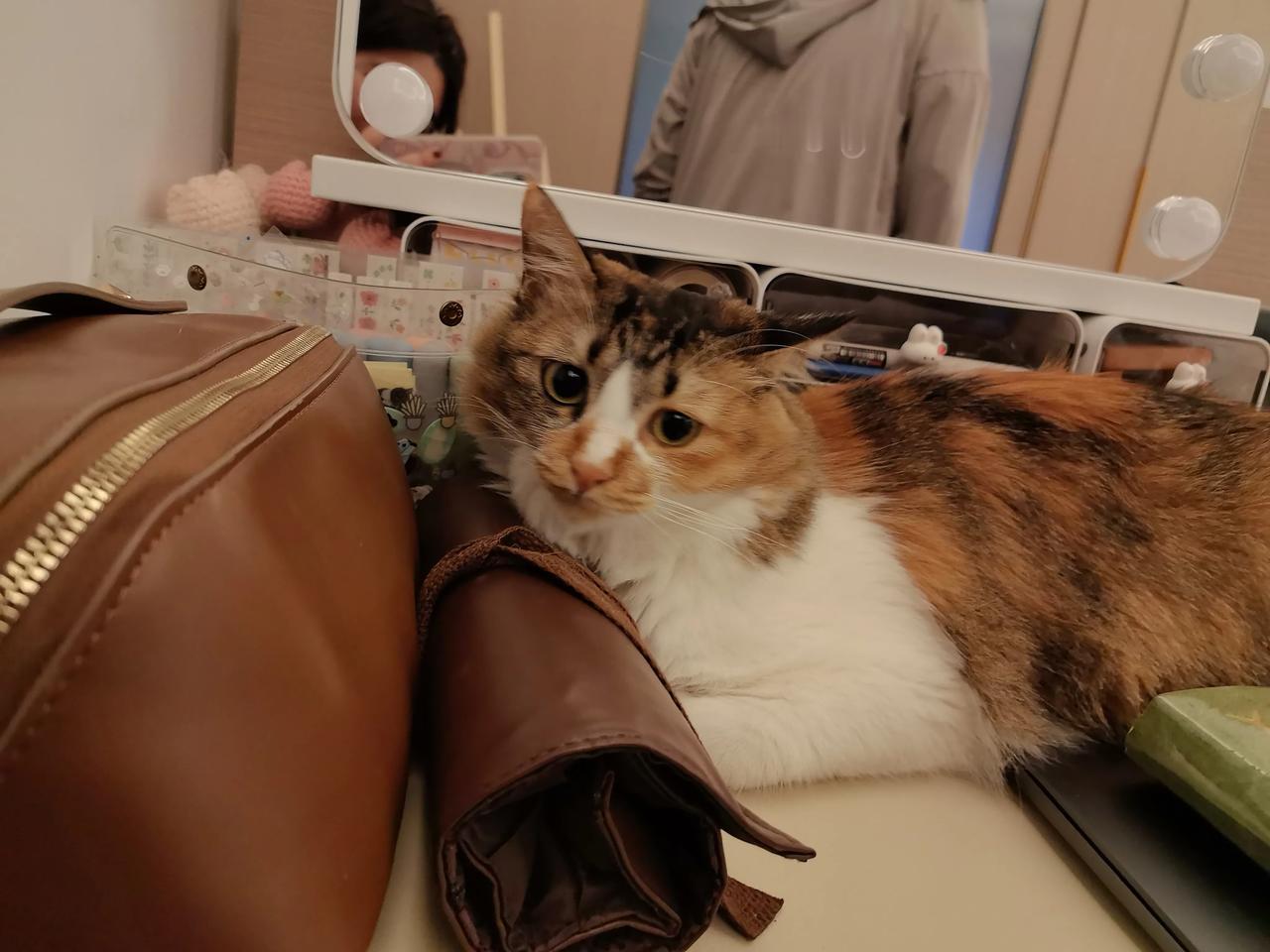 是社会在变还是人在变