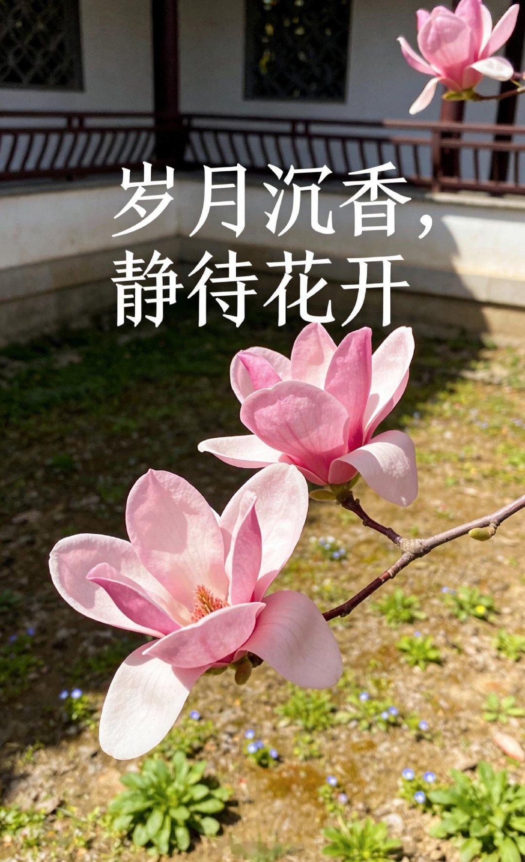 回头一看一路走来的炒股日常，多半都是漫长的等待。等待入场时机、等待升、等待止盈离