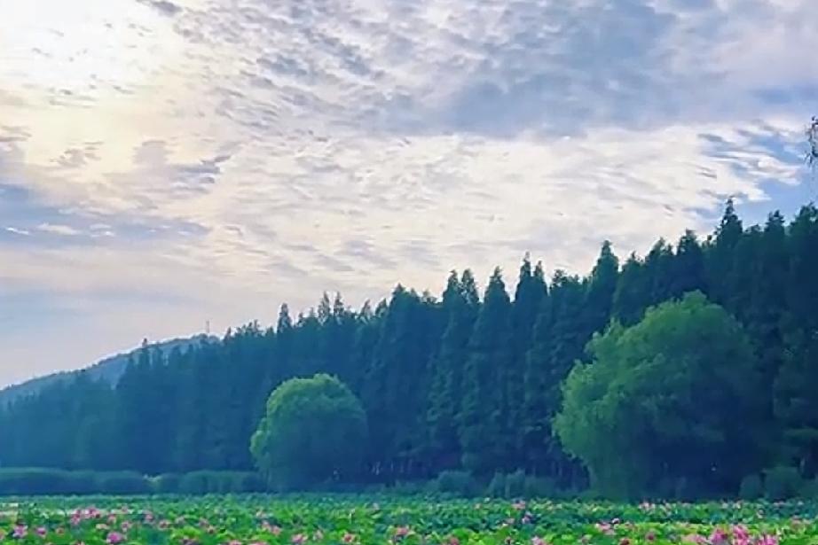 其实有时候相遇本身就是一场很深的缘分，陪伴一程已经足够幸运。

不是不能走到最后