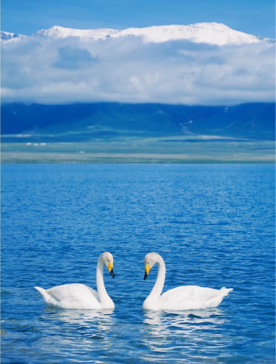 生活苦，要和甜的人在一起