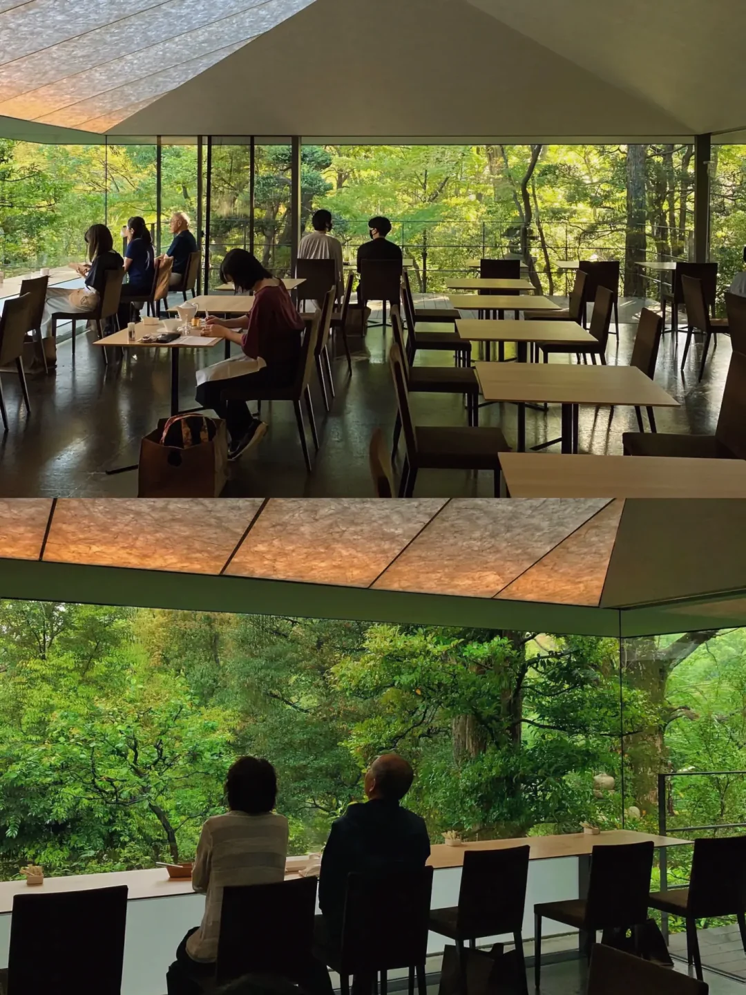 日本东京☕️美术馆内咖啡厅 窗景太惬意了！