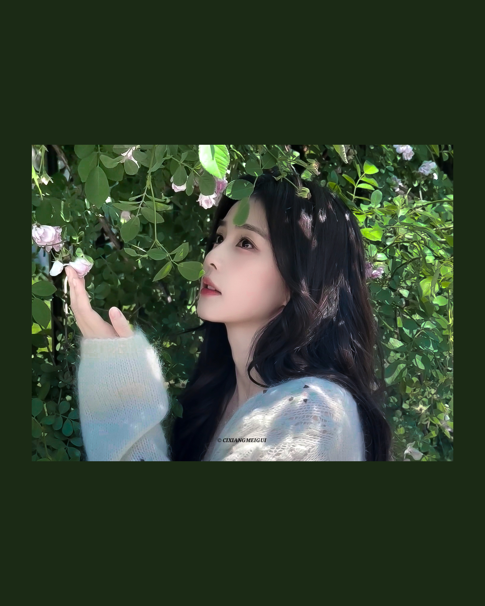 花季💐白鹿