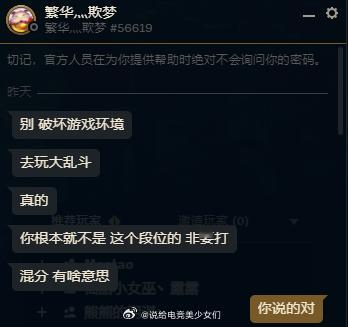 投:电竞少爷大赏（游戏结束后加了我的好友发表以下爹味言论后连跪于是隐藏战绩并且删