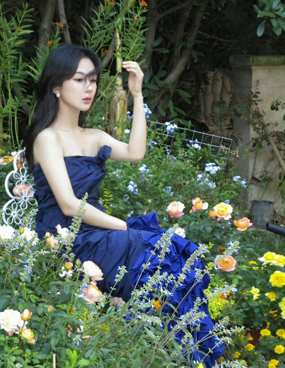 杨紫  yz杨紫董竹君 yz杨紫玉兰花开君再来落奔赴山海  晚霞是最浪漫的告白?