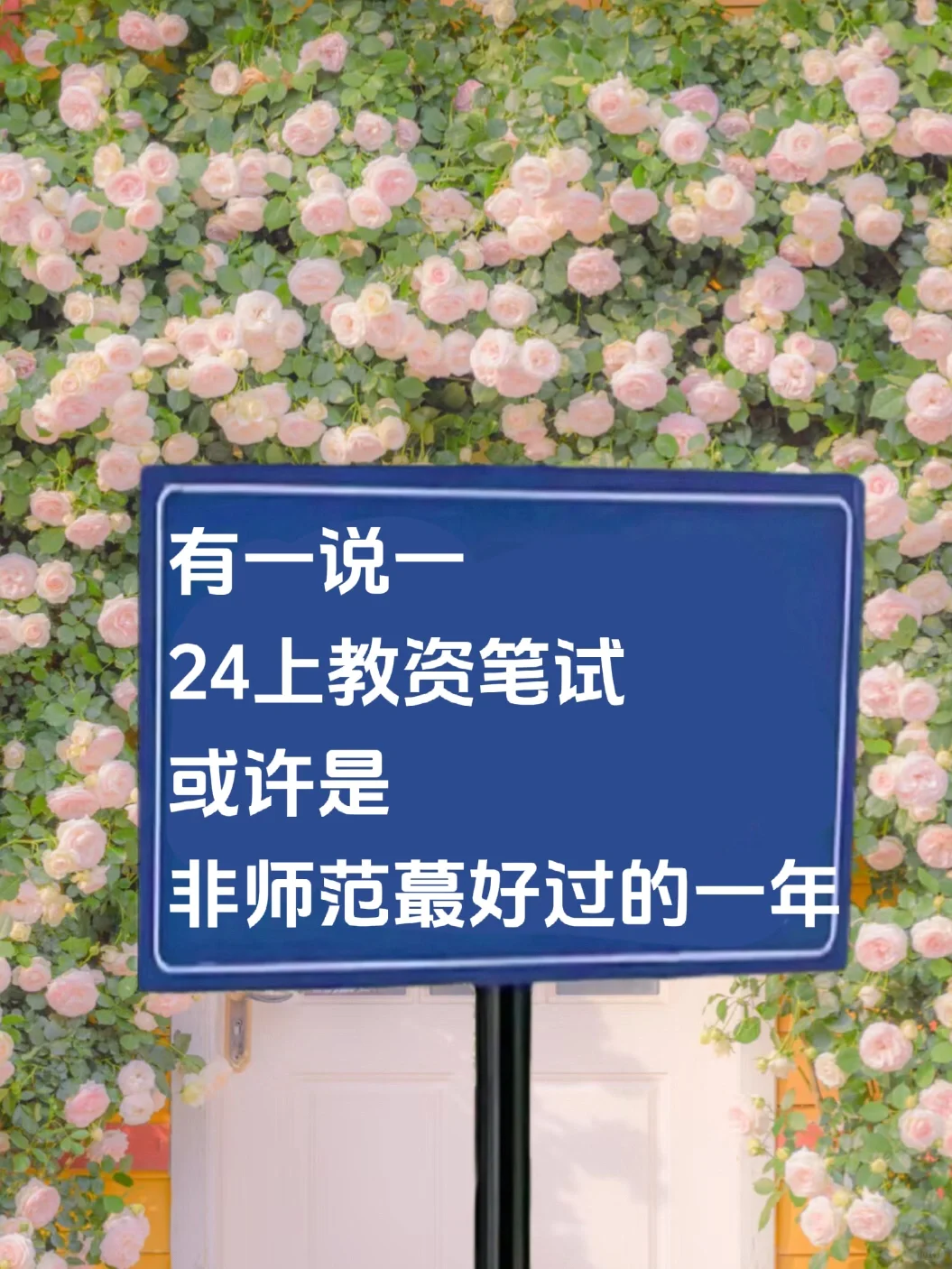 信我！24教资笔试，逼自己背完这25页就🐮了