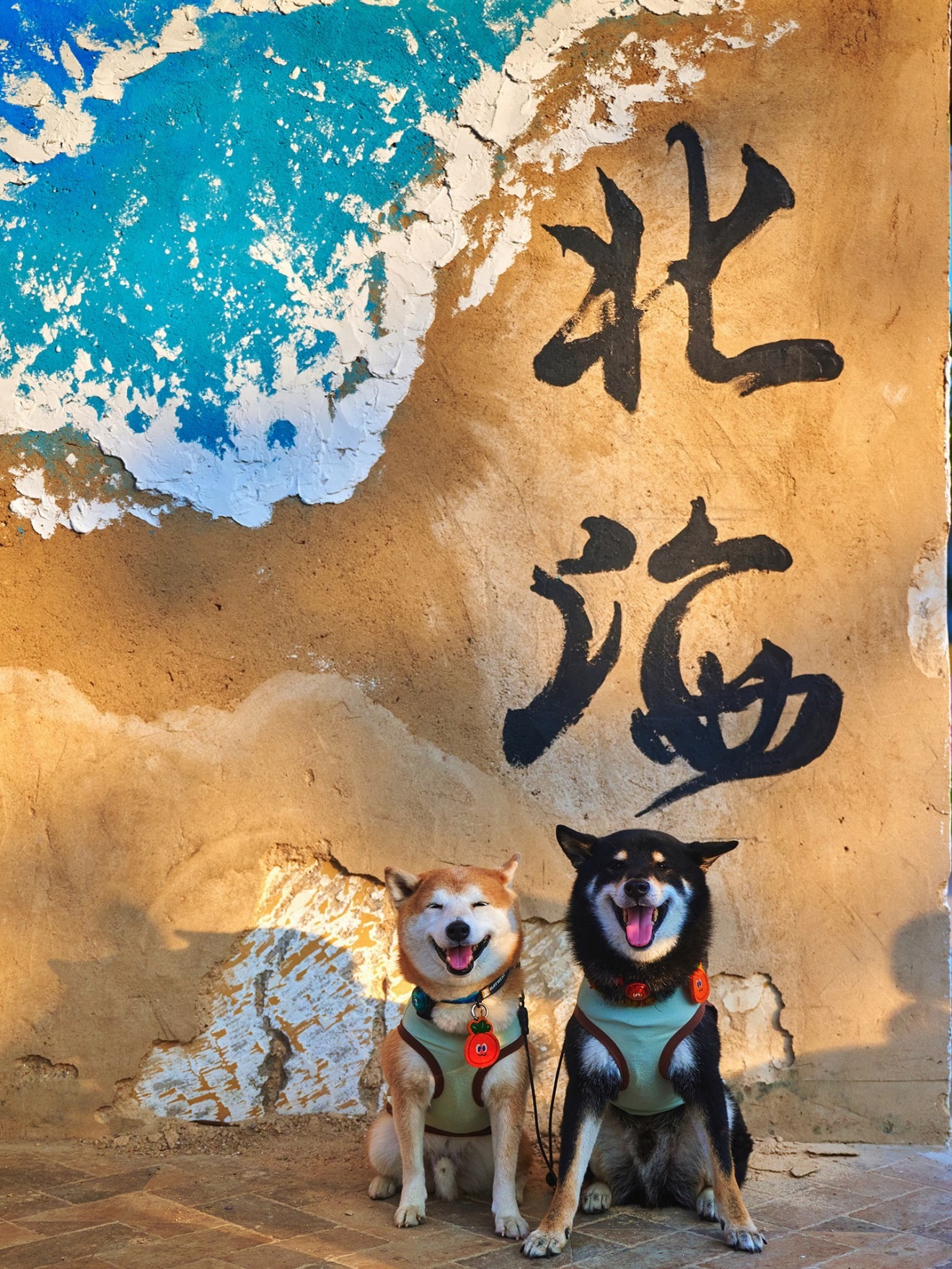 流下村说：北海很美，留下来多看看吧 北海·流下村