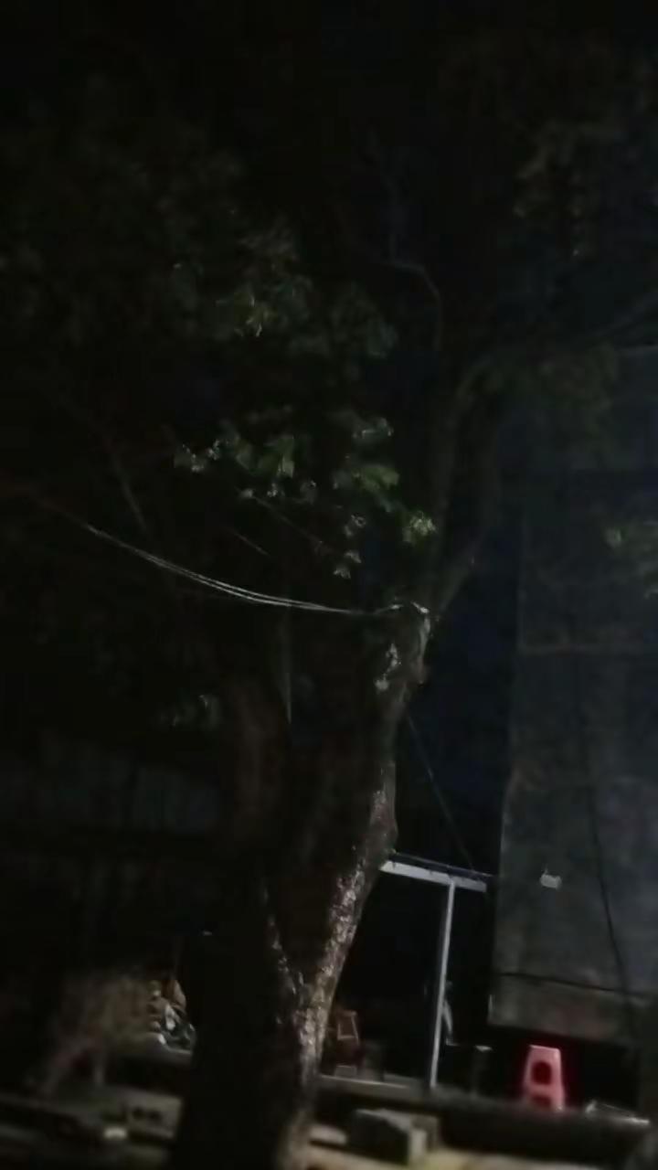 热得受不了时就下雨了，没想到下雨了更热。