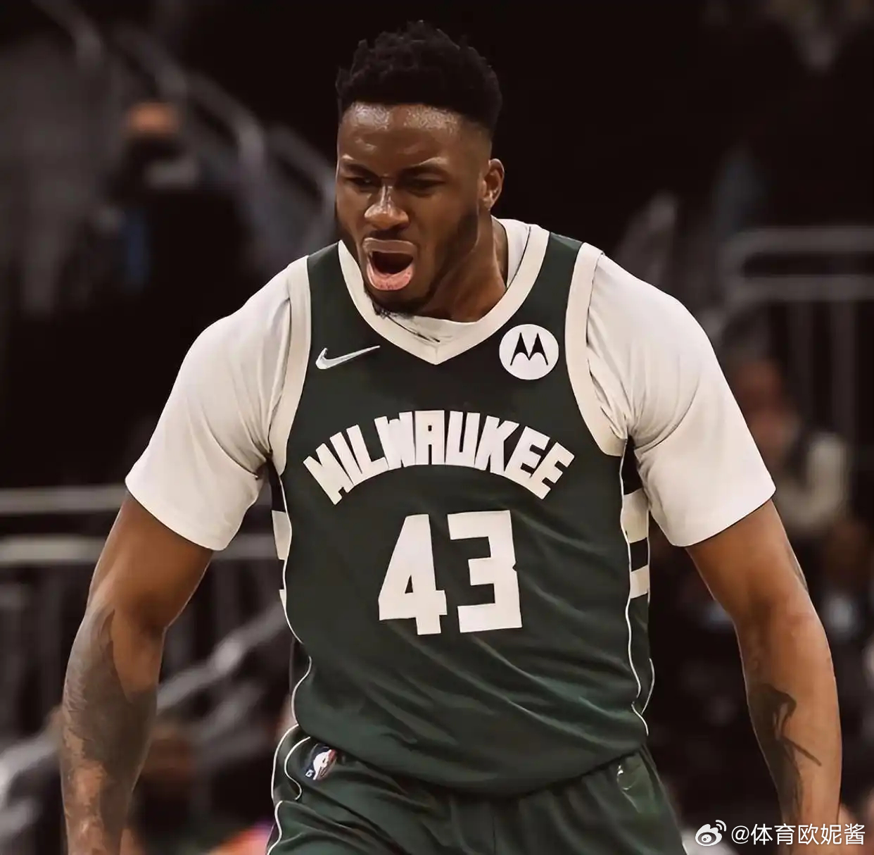 最强关系户告别NBA 字母哥哥萨纳西斯与希腊球队阿里斯签约，最强关系户告别NBA
