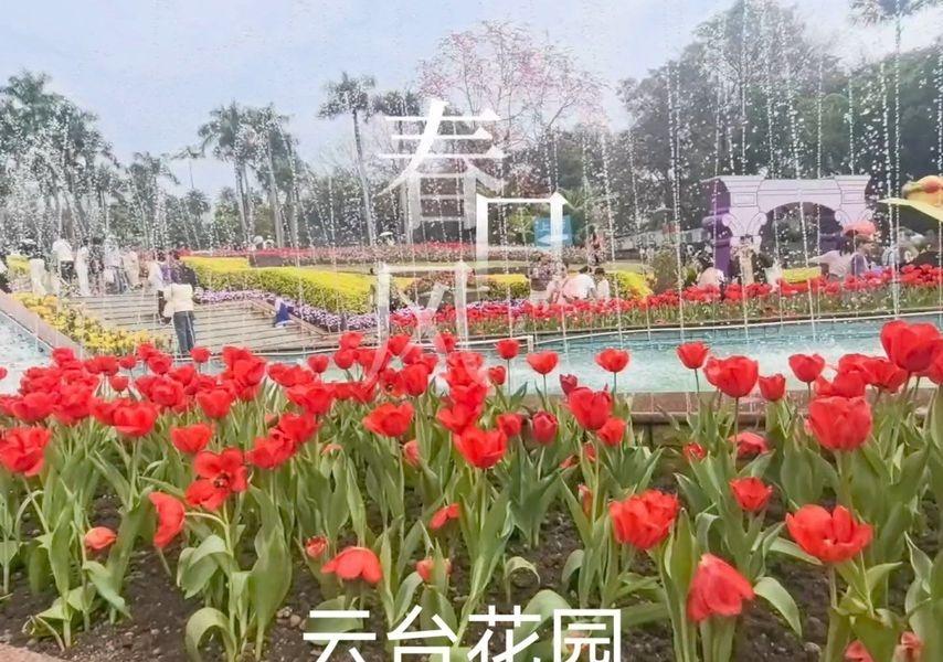 云台花园
📍广州 云台花园-喷泉广场
🌷云台花园·郁金香春日浪漫
阳光正好