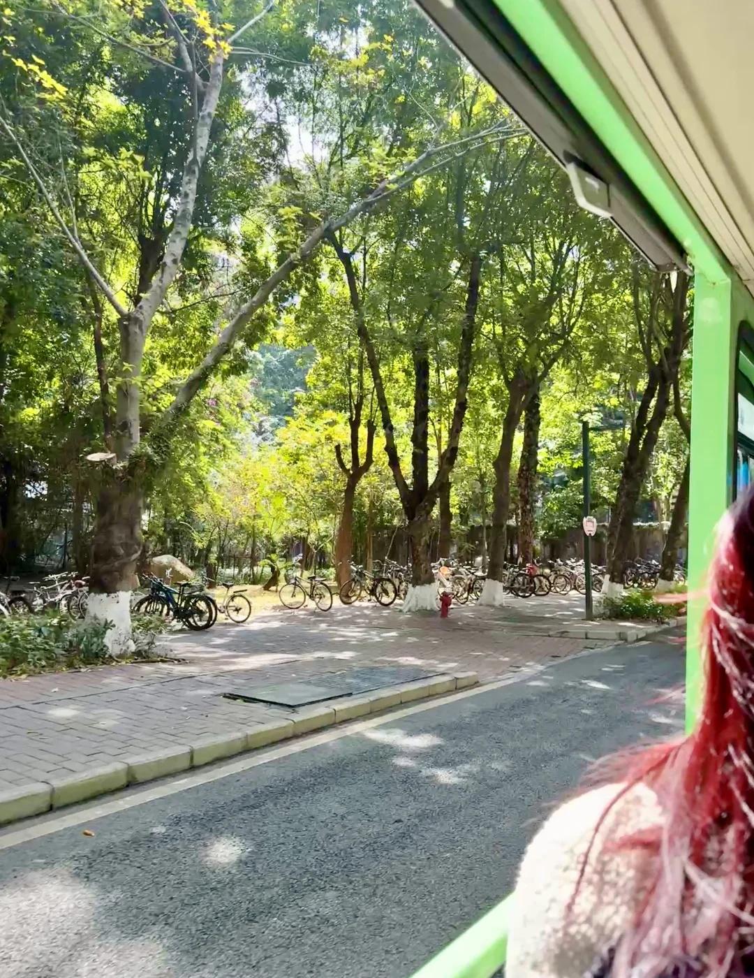 假如你在深大上学🎒🌴
没有综测、早晚自习、校园跑、宵禁
活动丰富！总能帮你找