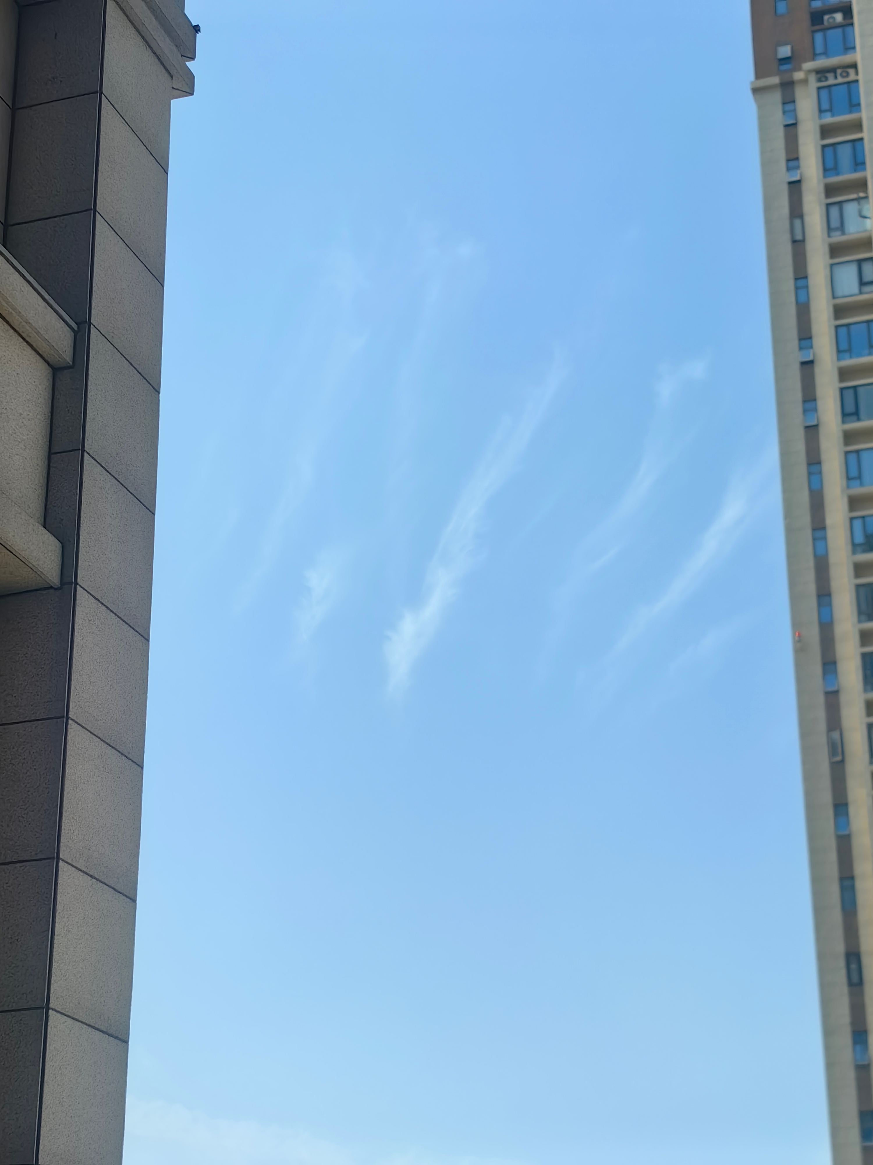 巴威你别来。。。。。 