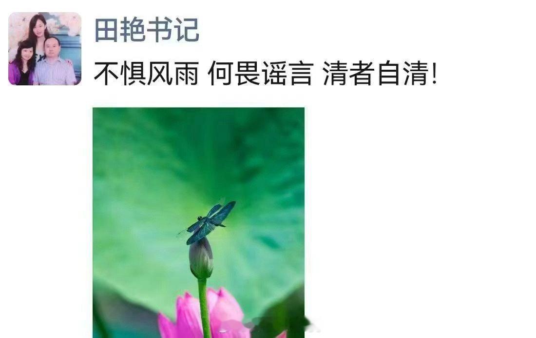 贵州美女书记田艳的朋友圈……反腐资讯 ​​​