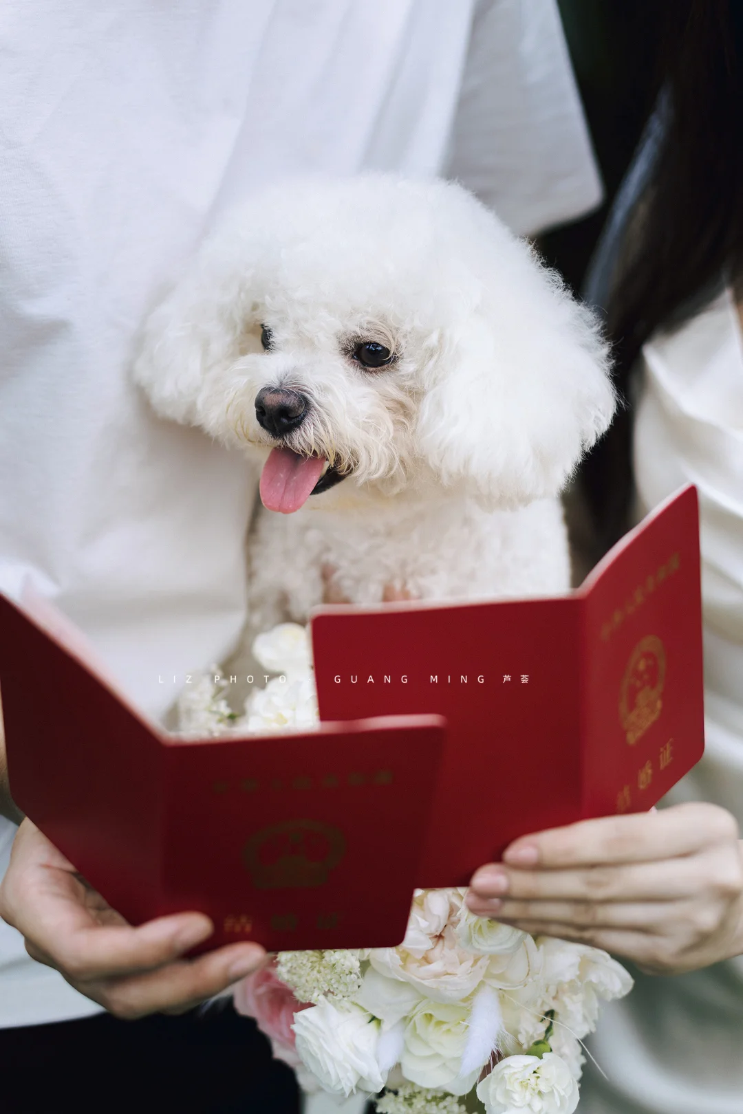 本汪盖章认证，同意这门婚事❤️