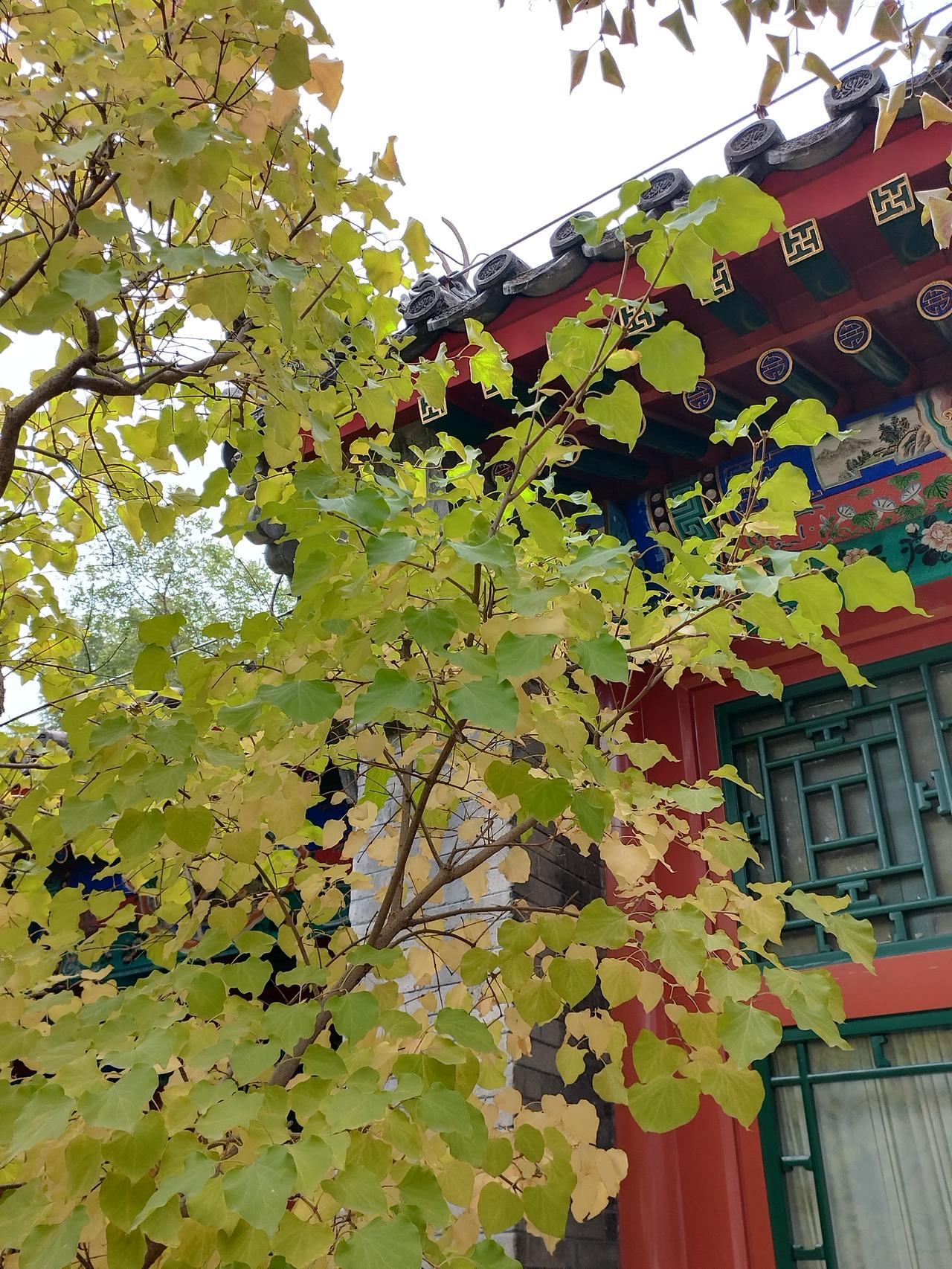 中国是强大了，如果哪一天台湾解放了，中国会更强大！
中国是厉害了，但哪一天周围的