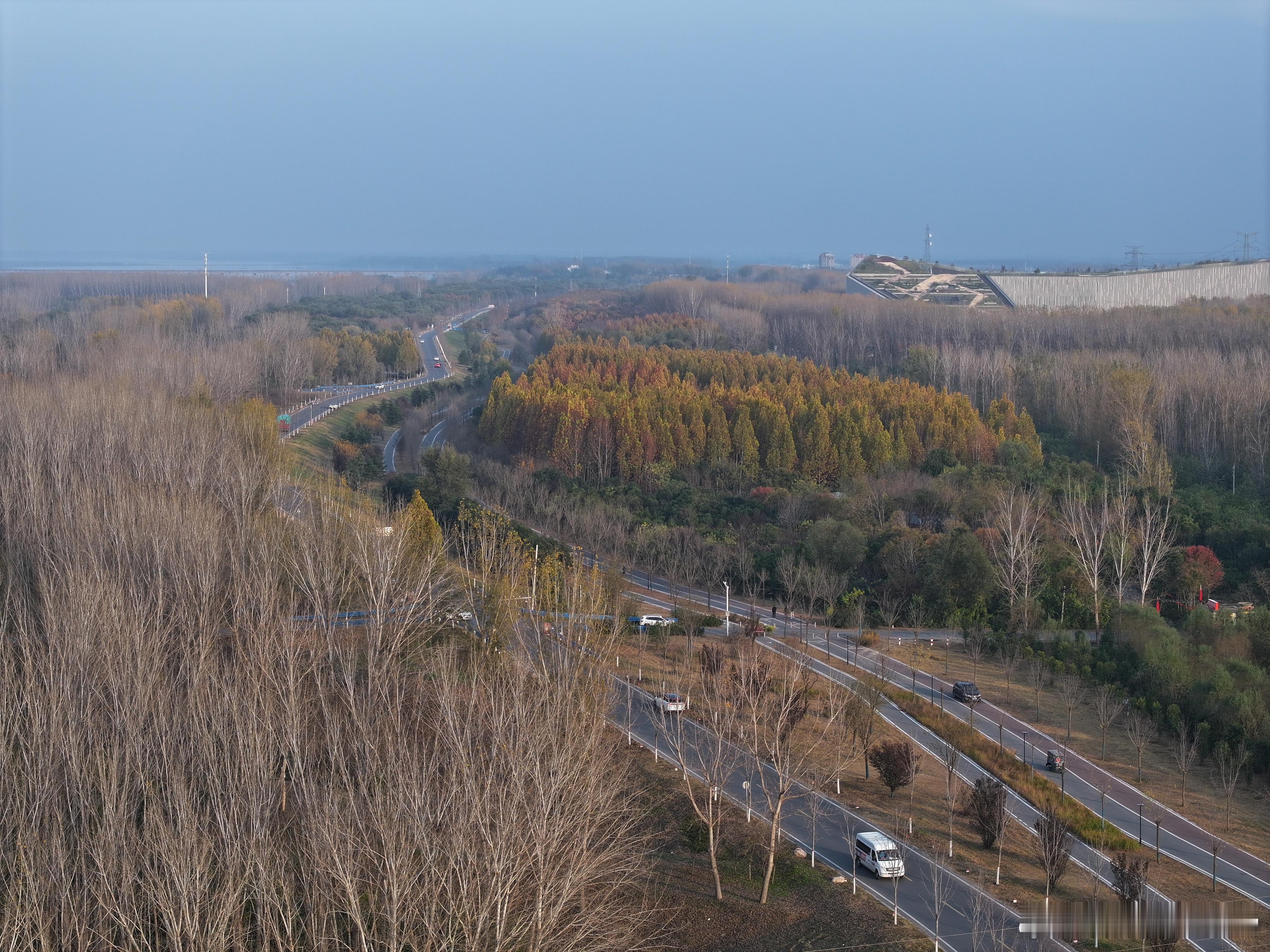 黄河边的秋色！没飞过什么好飞机的我觉得mavic3 Pro就是很牛了！ 