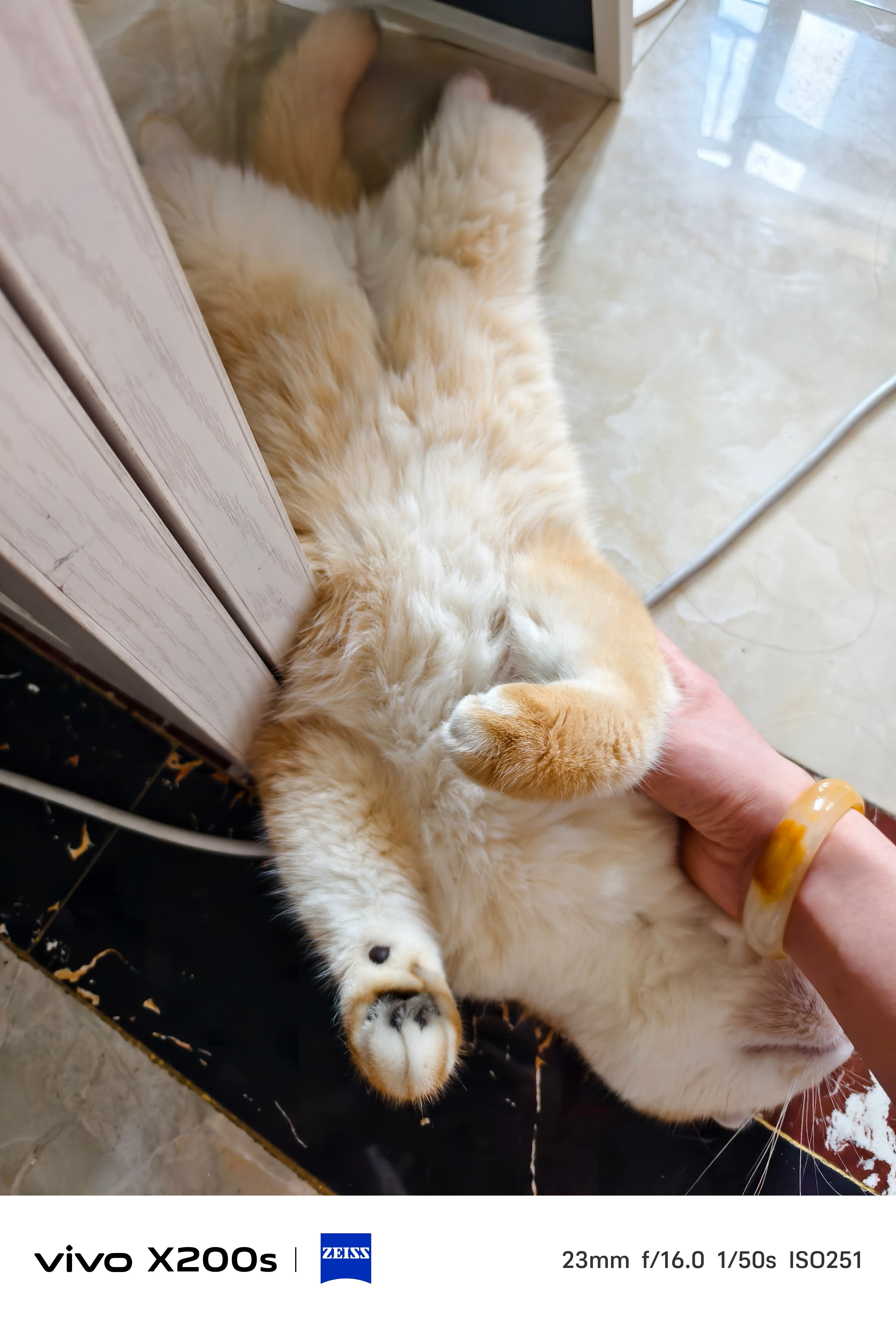 猫为什么闻你嘴巴呢我证明 小猫嘴巴香香的[喵喵] ​​​