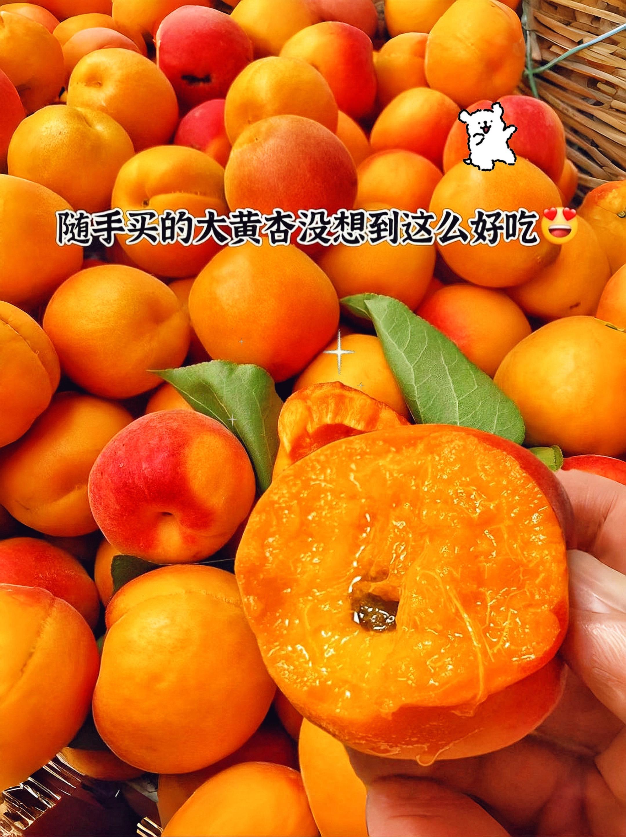 三月看杏花，四月吃杏果。山西的头茬时令新鲜水果“大黄杏”!皮薄肉厚，鲜...