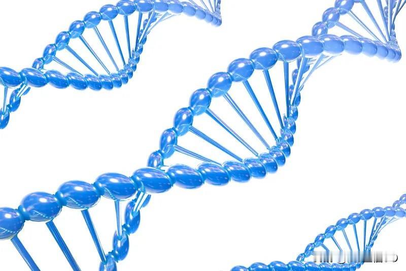 人类的百年巨变AI人类格局基因的重新定制；人类是有灵性的；所以很多细胞社会细胞家