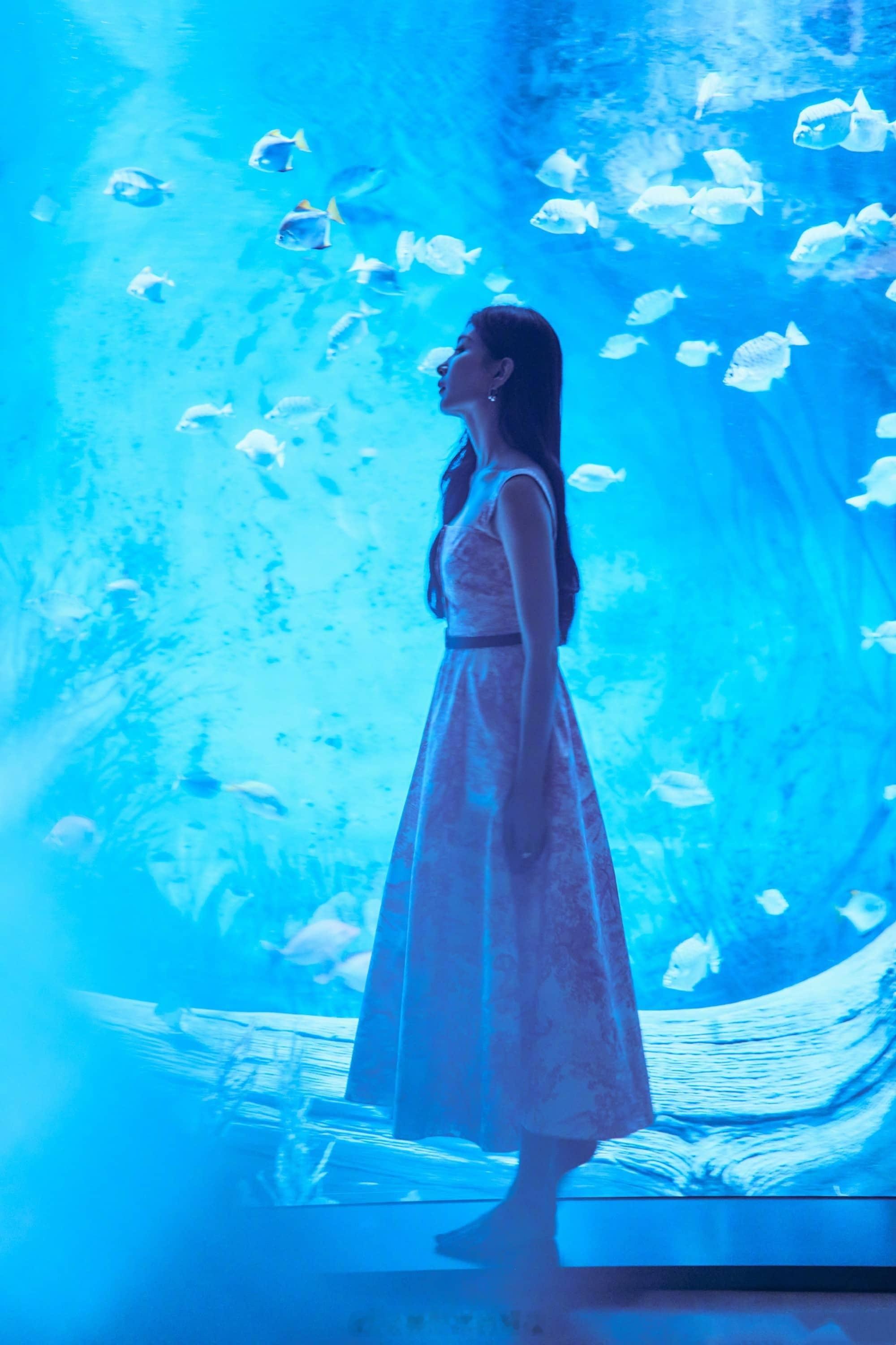 江疏影水族馆里的人鱼公主 ​​​