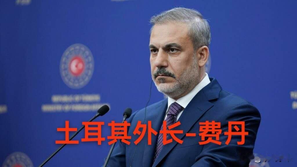 沙特终于等来了土耳其就三边防务机制的表态。

当地时间9月19日，土耳其外长费丹