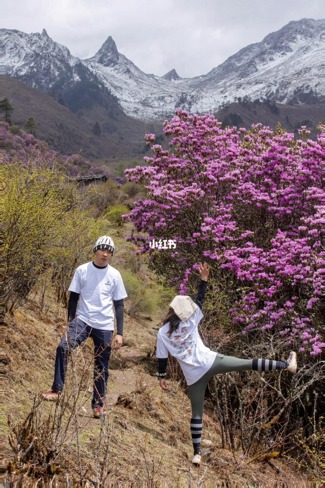 五一划算！去个哈巴西坡送了新疆一年四季