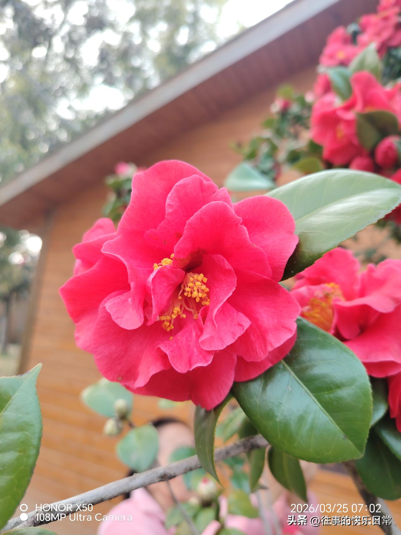 今年春天最想实现的心愿每天坚持晨练打卡分享运动