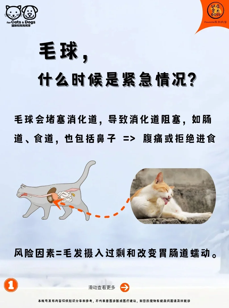 毛球，什么时候是紧急情况?