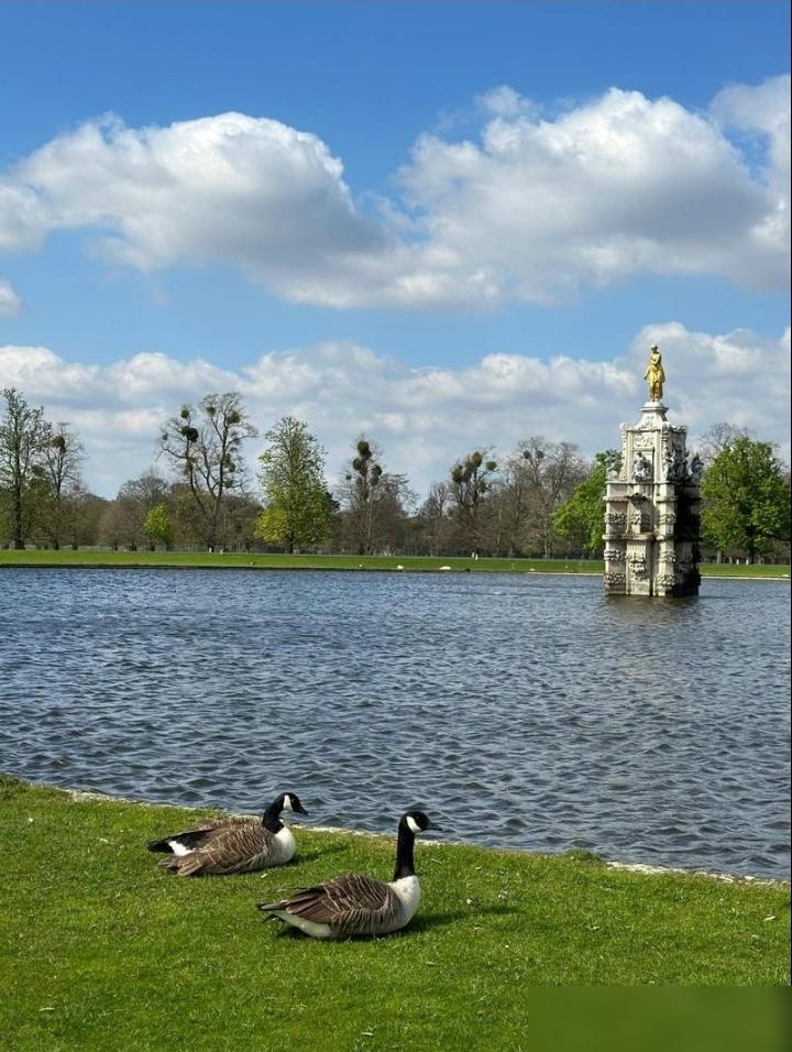 1-3！英超最硬的主场，被一个34岁的老将打穿了。
赛前，没人觉得桑德兰会输。