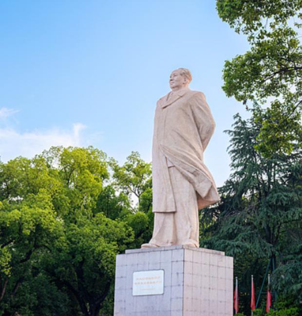 曾有人提议在全国范围内拆除毛主席塑像，是什么人提议的，这话听着就让人心里感到紧张