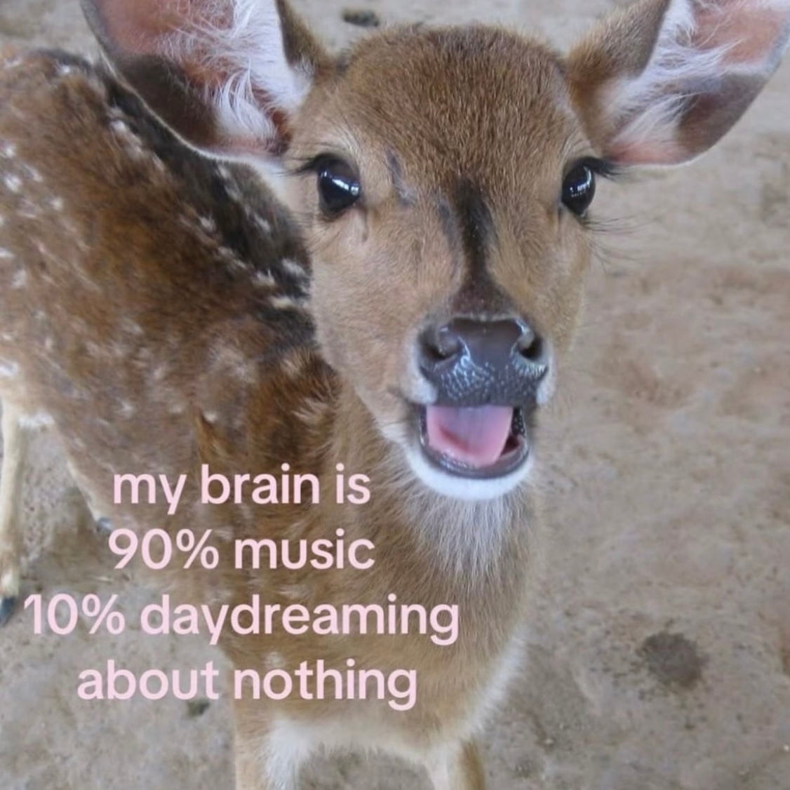 Damn Right🤍ྀི⁃ ⩊ ⁃ 空白诗 水色星𝙰𝚋𝚘𝚞𝚝 𝚖
