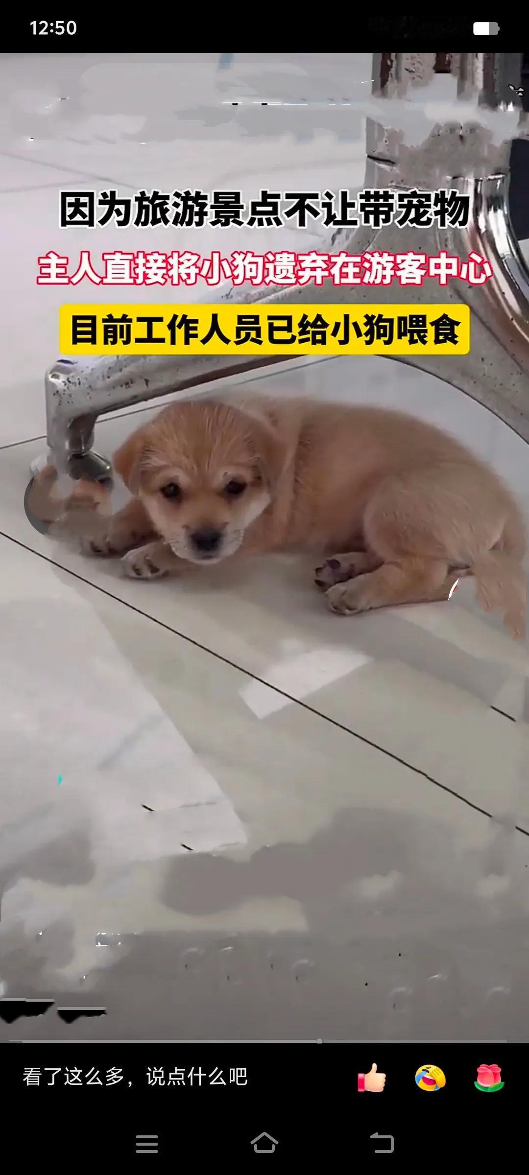 重庆的某个旅游景点前，上演了令人心寒又暖心的一幕。
 
这里规定不许带宠物进入，