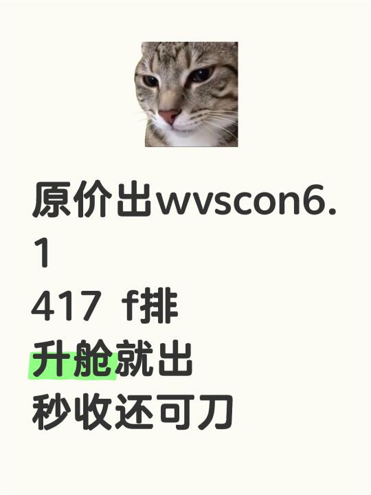 原价出wvscon6.1 417 f排 升舱就出 秒收还可刀