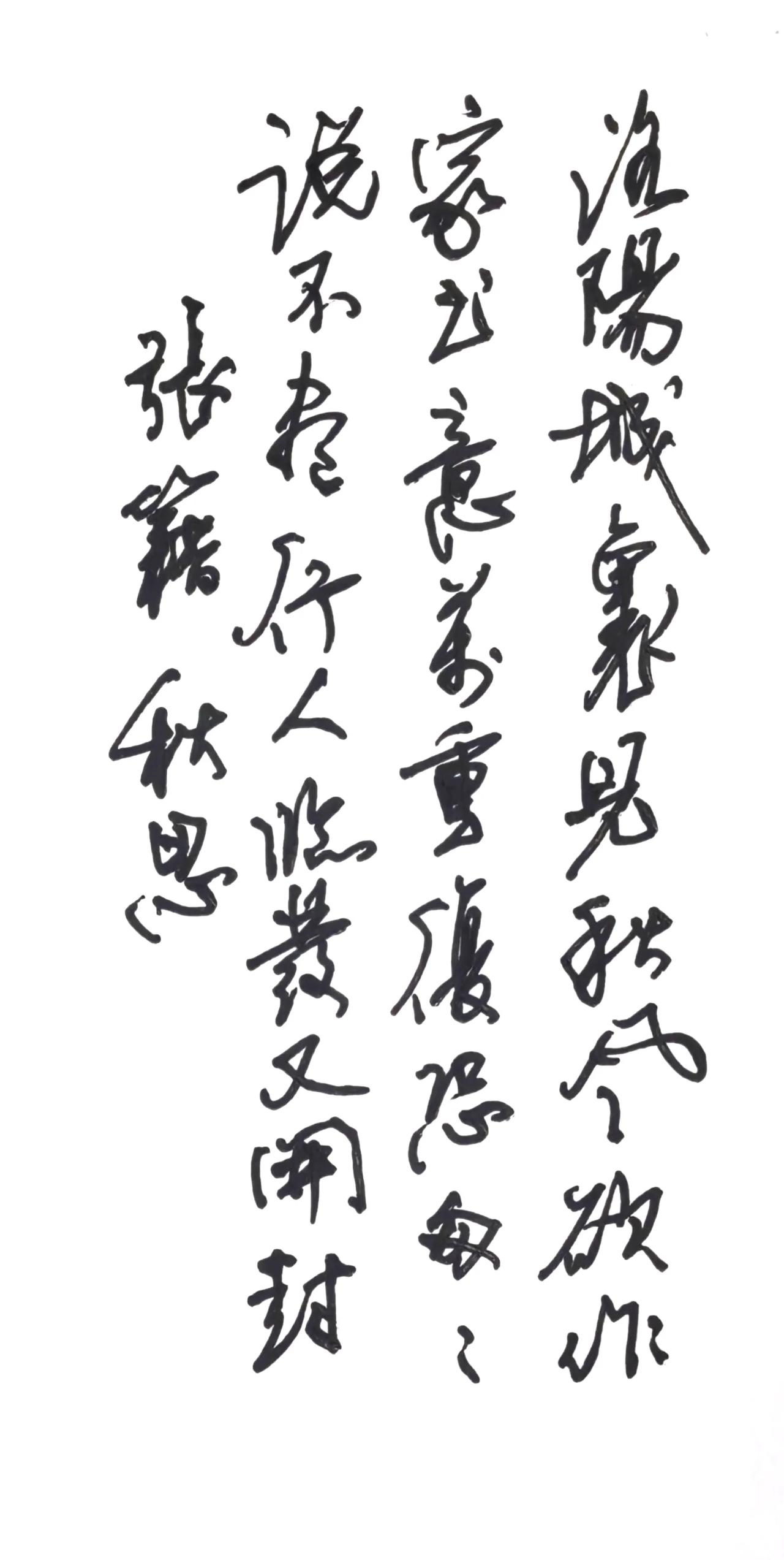 书录张籍《秋思》。秋风起，家书难尽，世间万般牵挂，大抵如此。
简要点评
草书流畅