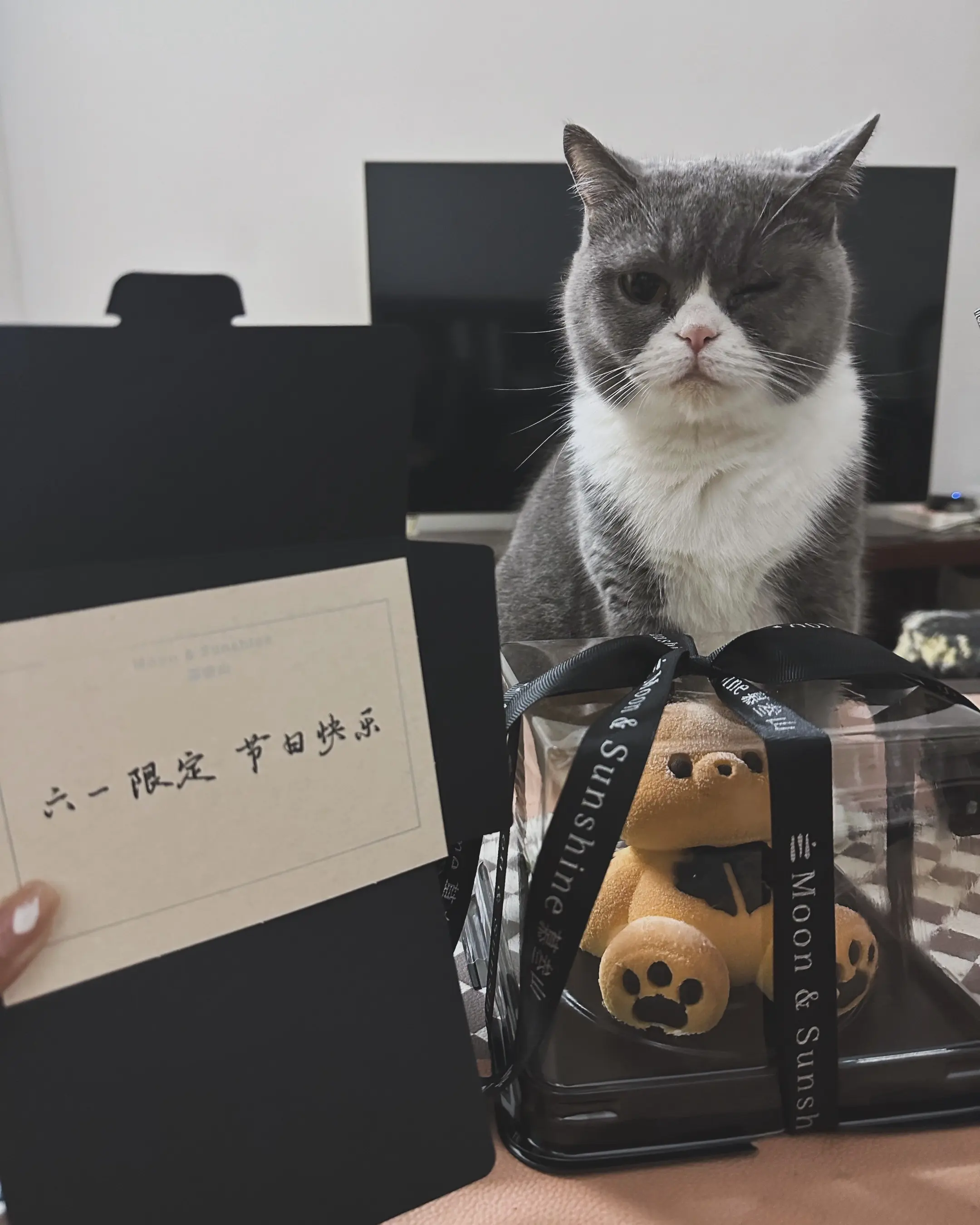她说我是她第一个互联网朋友。同频的人像是礼物，这句话直到她的出现，我才...